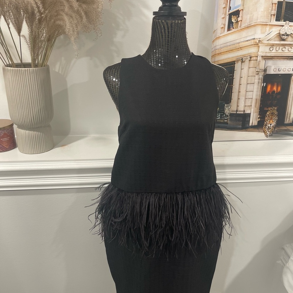 Endless Rose Feathered Dress